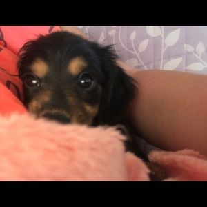 Meet your Posher, Anne